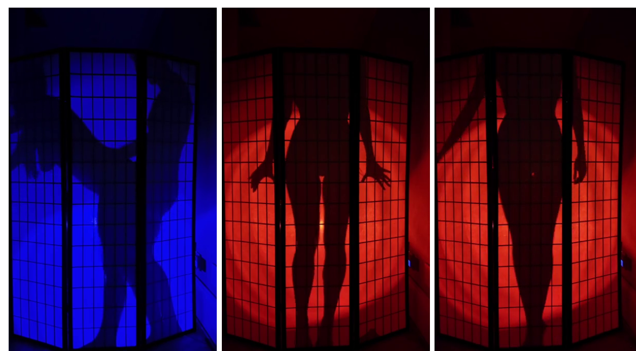 Christina Khalil Birthday Sex Tape Behind Opaque Wall Video Leaked