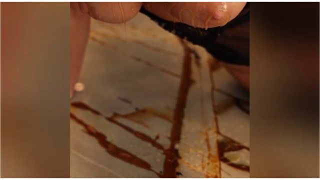 Stefanie Gurzanski Nude Honey Wet Tits Onlyfans Video Leaked